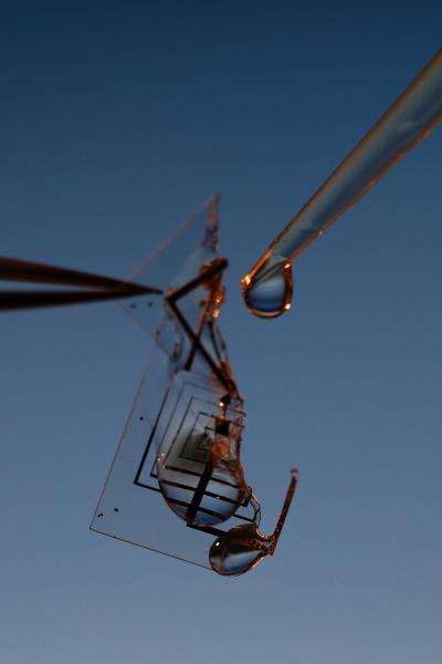 Electronics that Dissolve