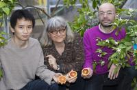 Yang Zhang, Cathie Martin and Eugenio Butelli, John Innes Centre