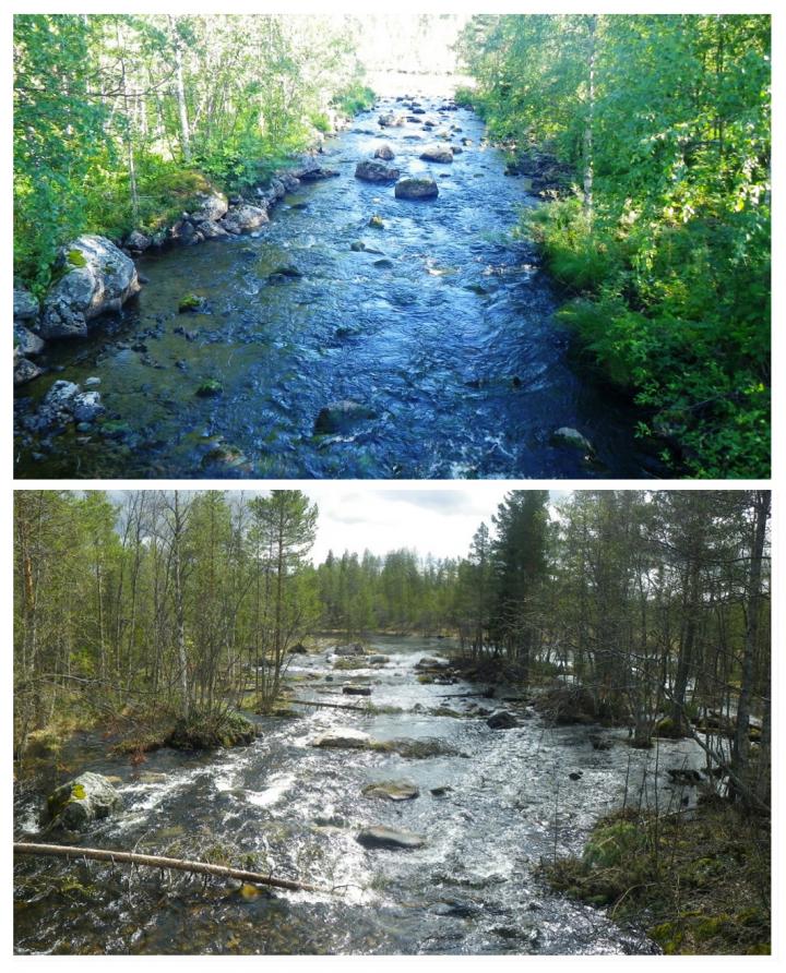 Abmob&auml;cken Stream has Been Restored