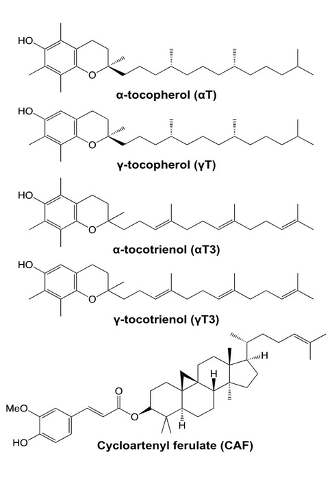 Structure of major fat-soluble components in brown rice