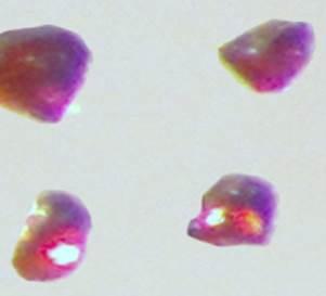 Cesium Platinide Hydride Crystals