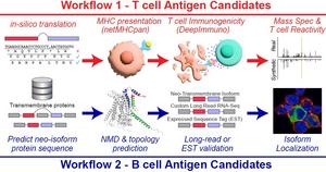 Finding New Targets for Cancer Immunetherapy