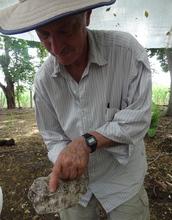 Imprint of Several Toes