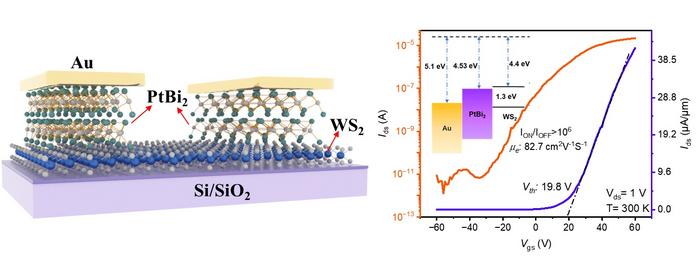 PtBi2 work as contact layer in WS2 transistor