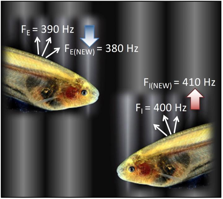 How to use limited bandwidth more efficiently EurekAlert!