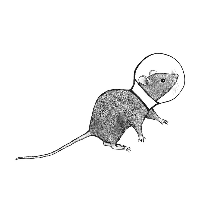 Illustration of a rodent wearing a space helmet