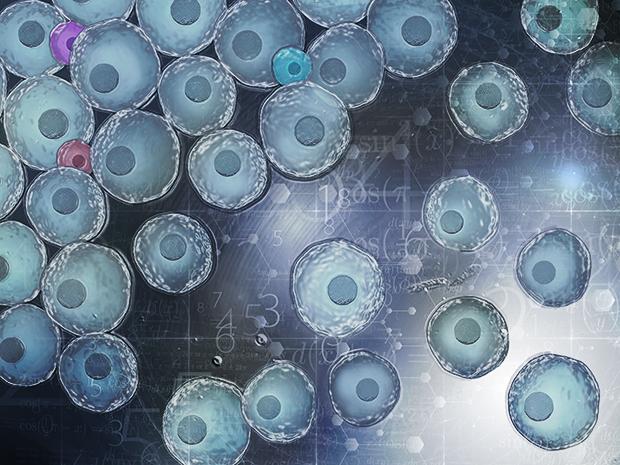 Hidden Cell Types Revealed