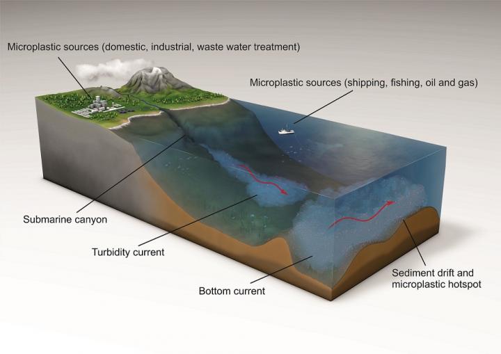 Deep Ocean Microplastic Hotspots