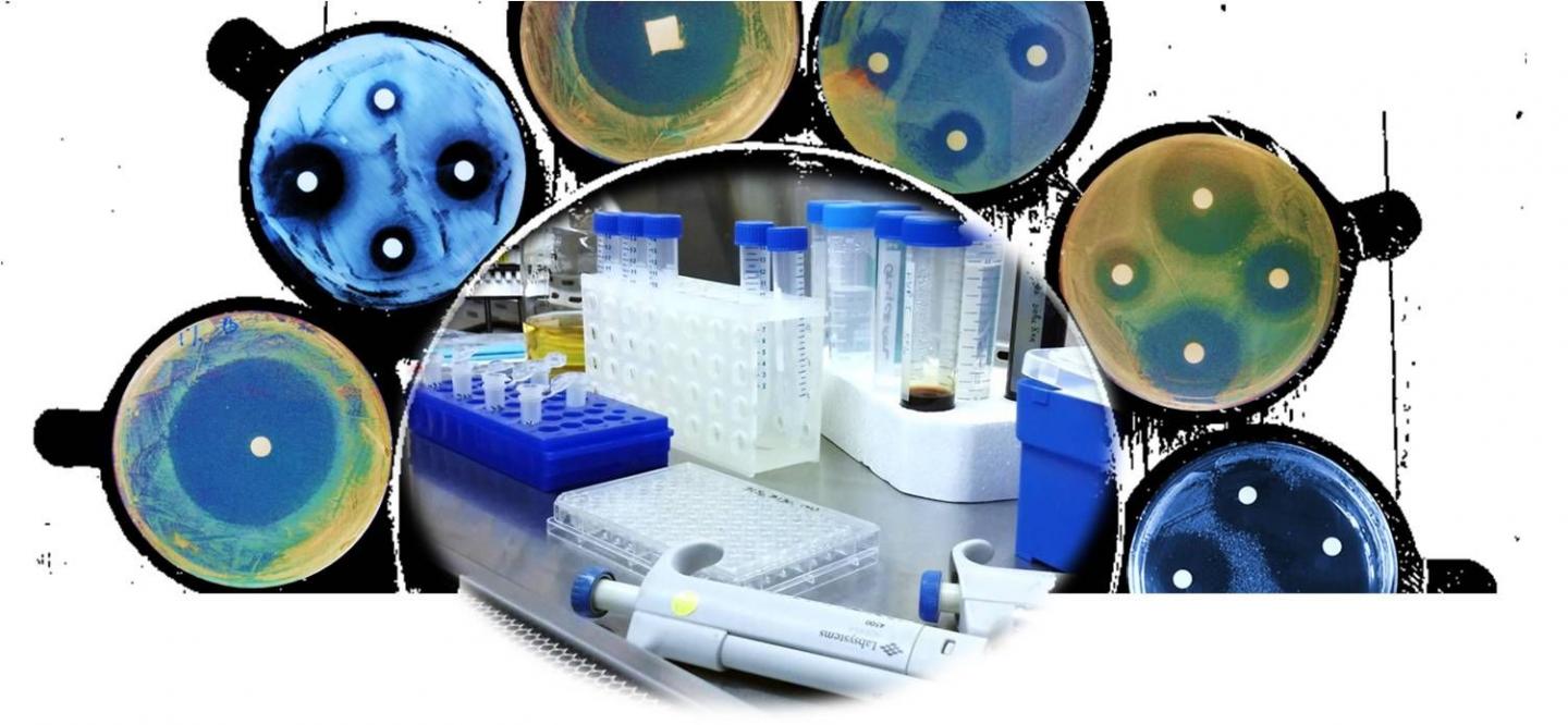 Bioinspired Agent Kills Drug-Resistant Bacteria