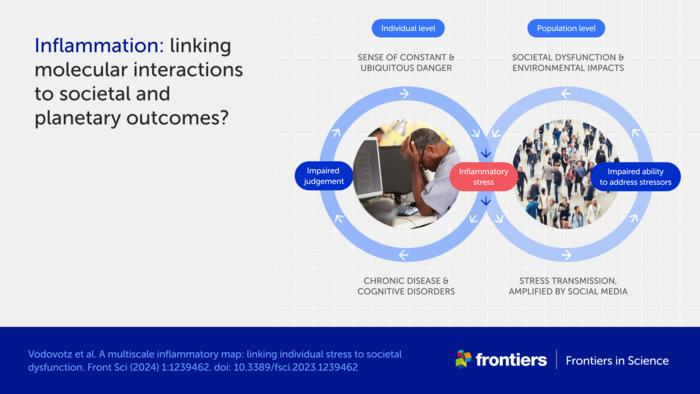 Inflammation: linking molecular interactions to societal and planetary outcomes?