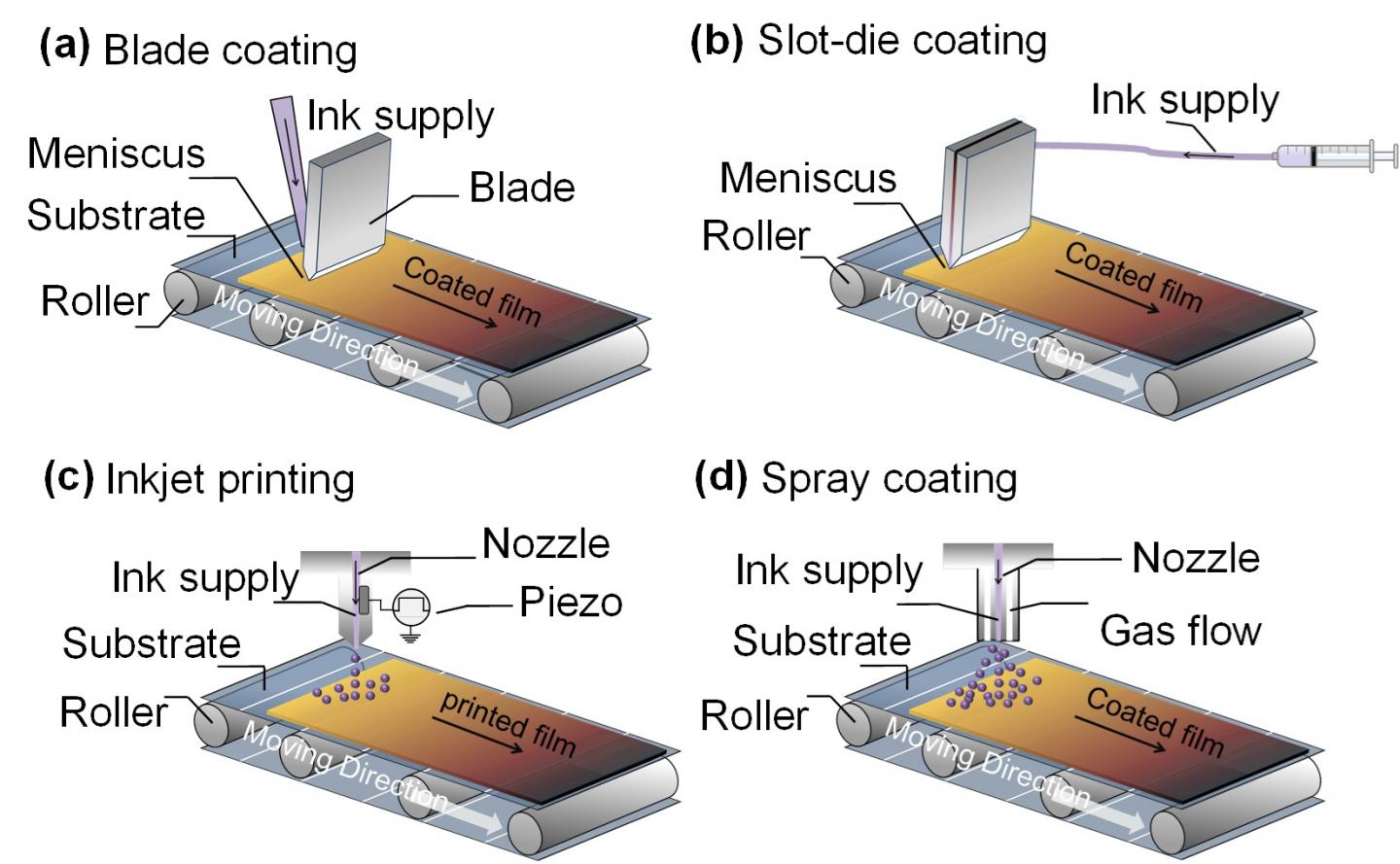 Figure 1 Image Eurekalert Science News Releases