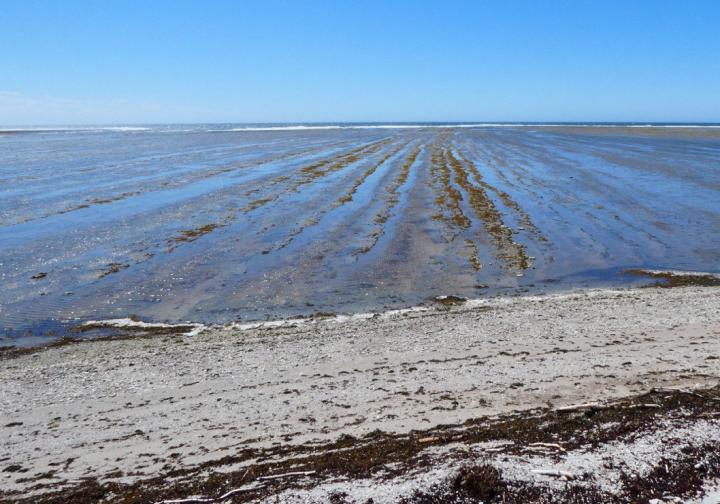 Stripes Along Seafloor