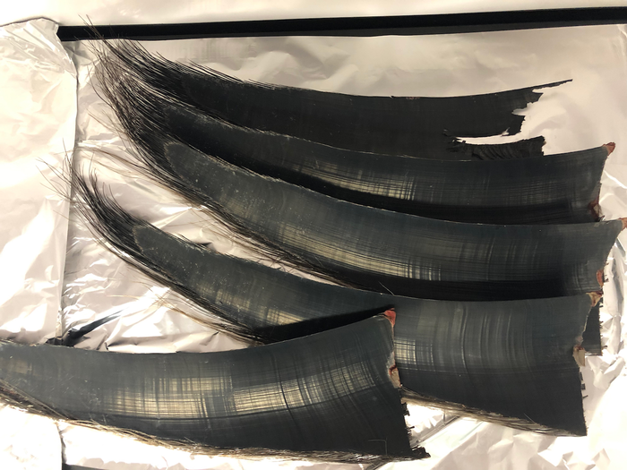 Baleen [IMAGE] EurekAlert! Science News Releases