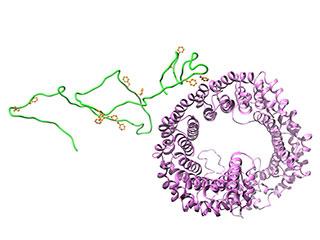 Speed without Structure [IMAGE] | EurekAlert! Science News Releases