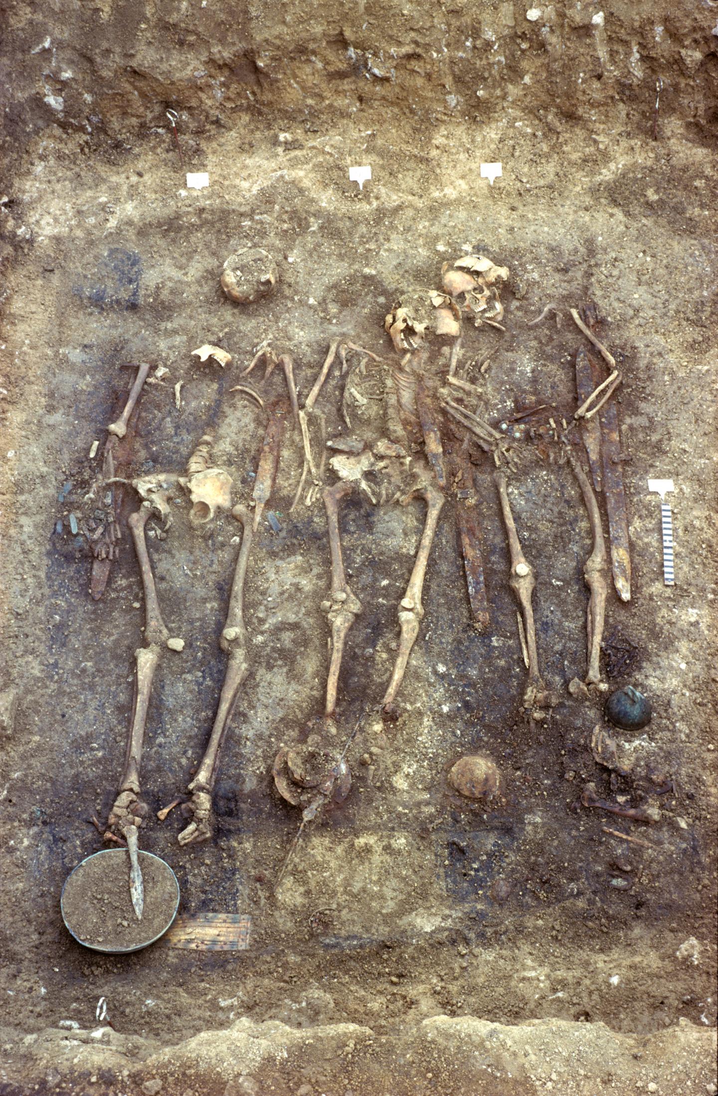 Revealed: Genetic Secrets of High-Ranked Warriors at a Medieval German Burial Site