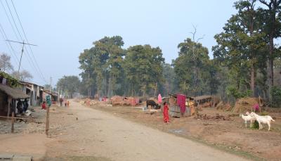 Living Next to Tigers