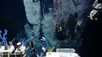 Remotely Operated Vehicle Samples a Hydrothermal Vent