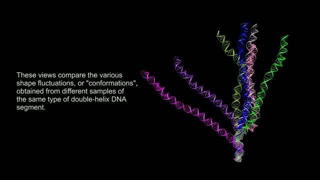 3-D Reconstructions of DNA Segments Connected to Gold Nanoparticles