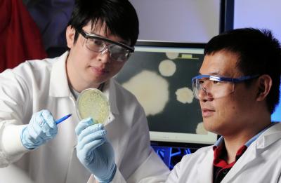 Jiaqi Tan and Lin Jiang, Georgia Institute of Technology (1 of 2)