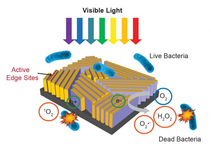 Nanostructured Device