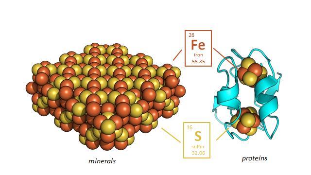Protein Nanomachines