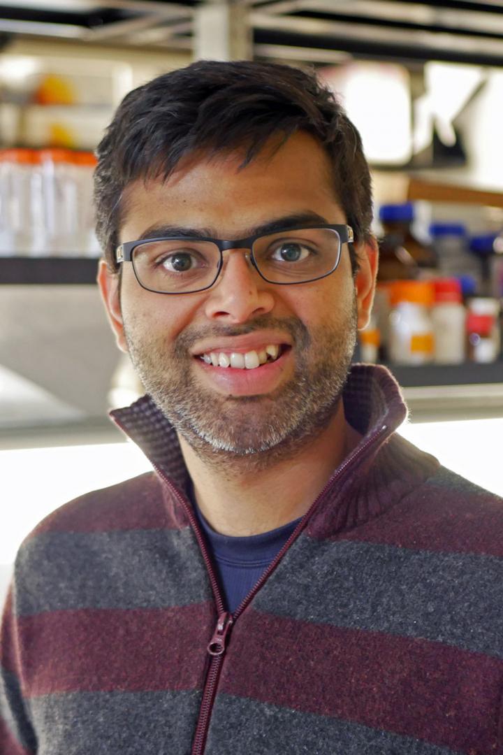 Sriram Ravindran, University of Illinois at Chicago 
