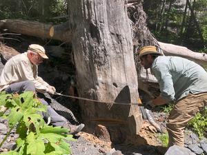 Red Lassic landslide crosscut