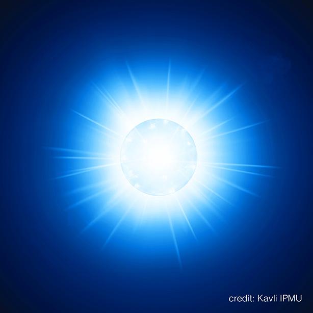 Figure 1 Artist's Impression