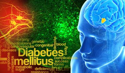 Glucose 'Control Switch' in the Brain Key to Both Types of Diabetes