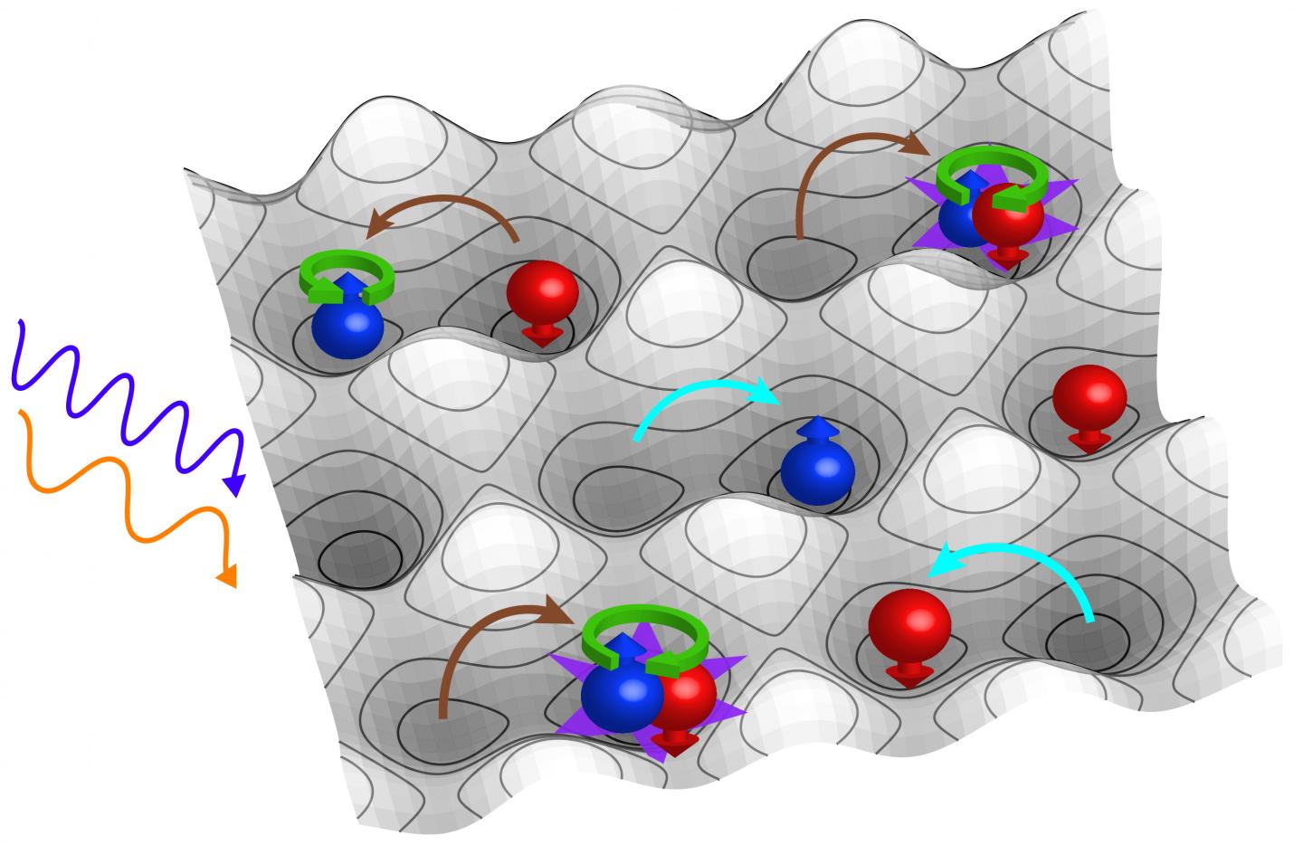Sketch of the Experimental Set-Up