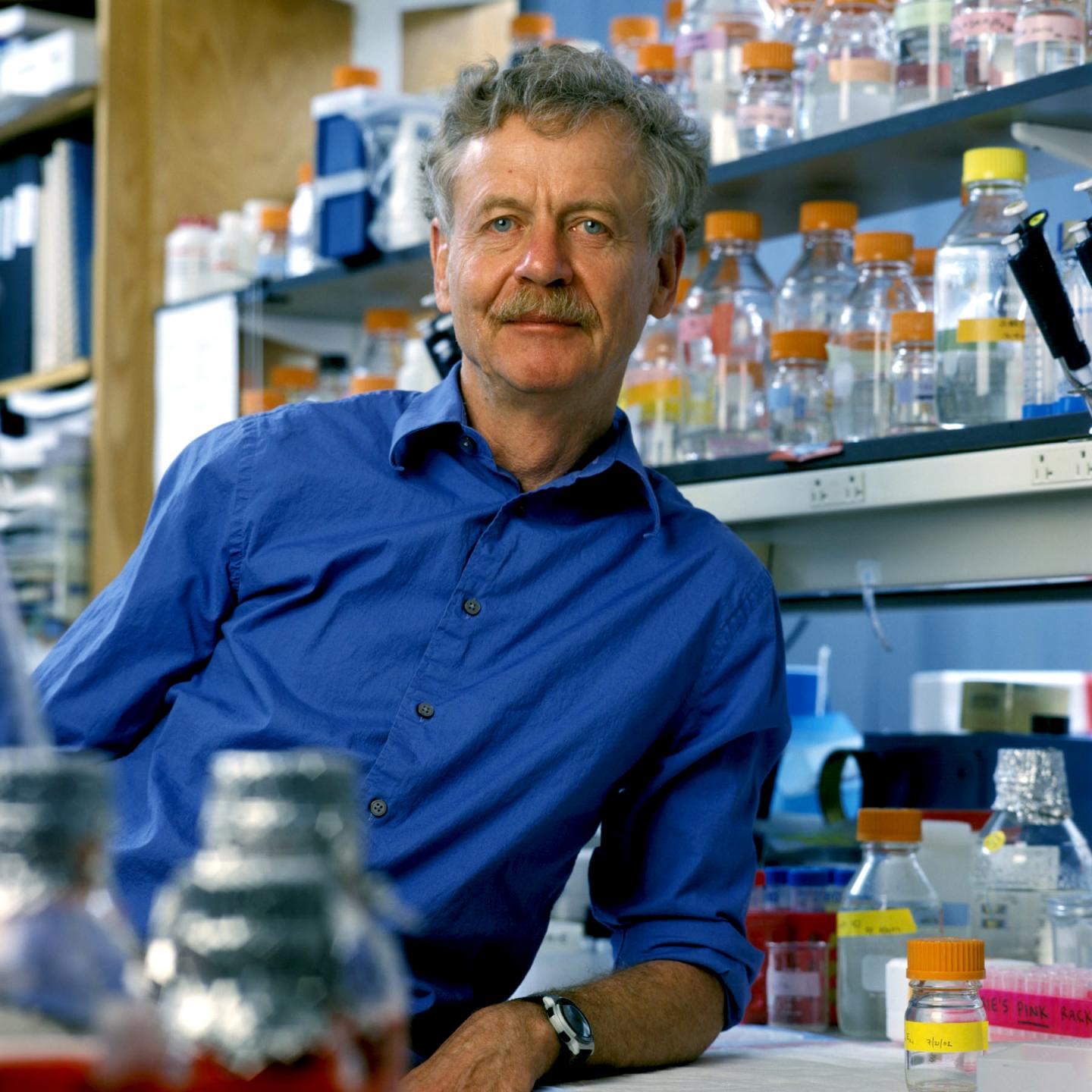 Rudolf Jaenisch, Whitehead Institute