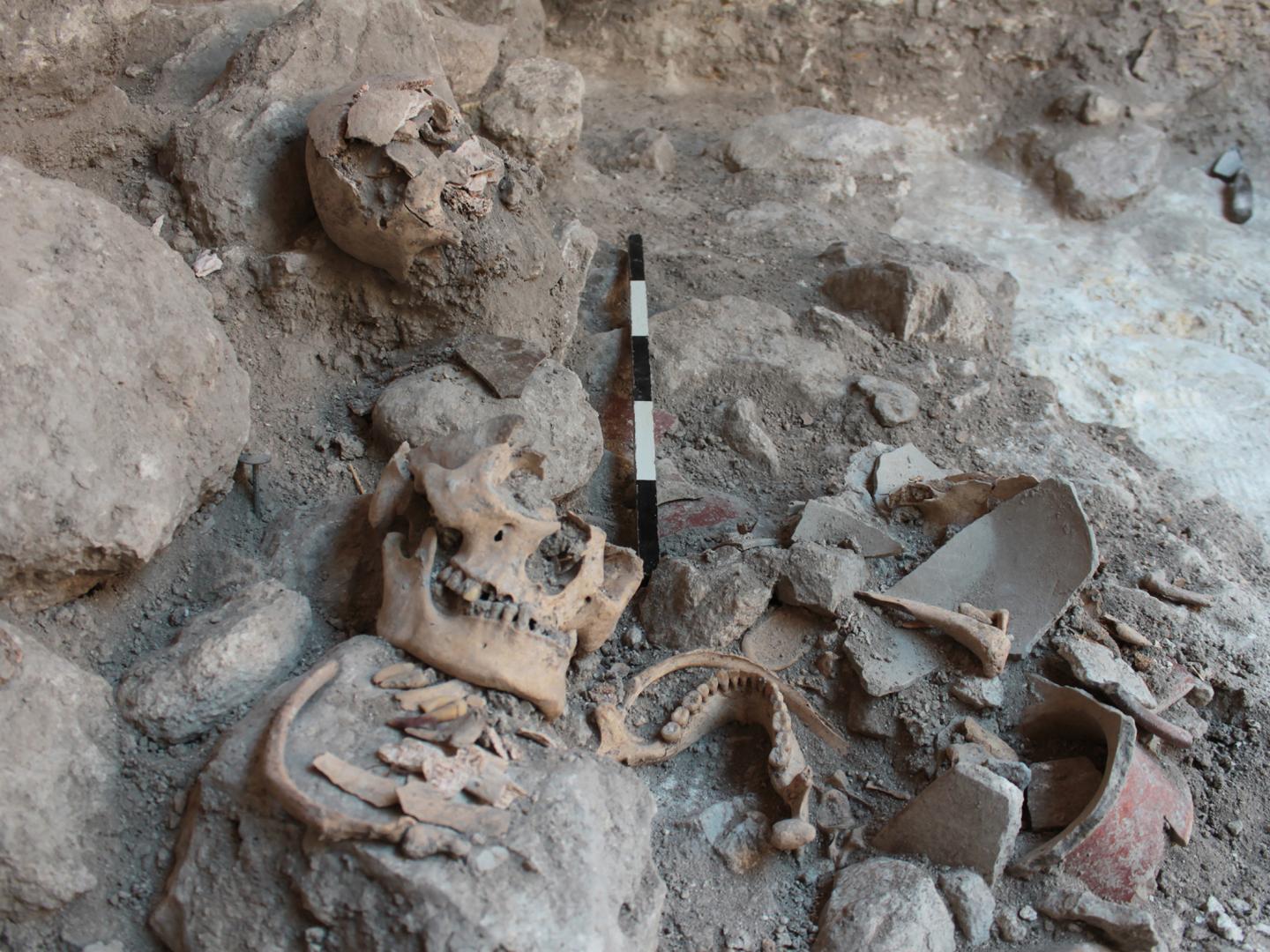 Mass Grave of Uxul during the Excavations in 2013