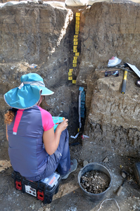 Dr. Dafna Langgut collecting sediment samples for fossil pollen investigation