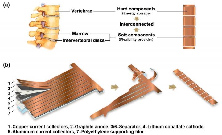 Schematic of the Structure and the Fabrication Process of a spine-Like Battery