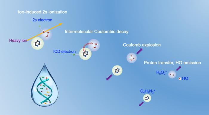 Relaxation mechanisms in the hydrated pyrimidine cluster after heavy-ion irradiation