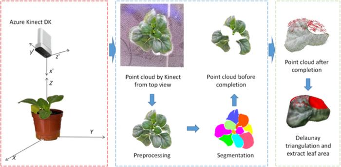 Fig. 1