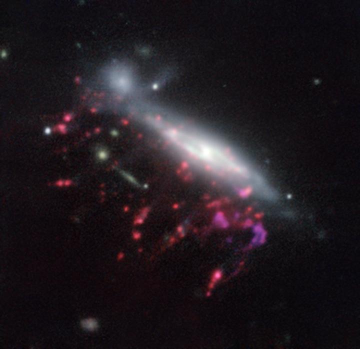 Example of a Jellyfish Galaxy