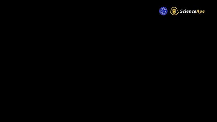 We are losing our oceans