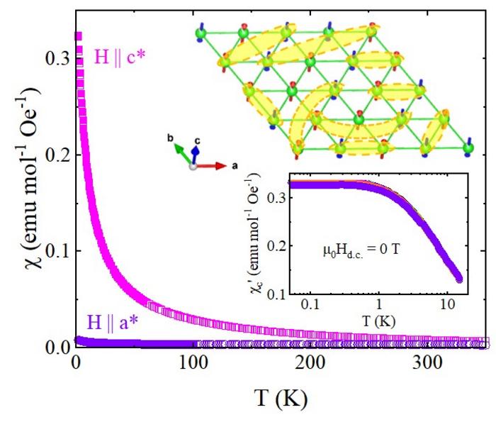 Ising anisotropy and possible spin liquid state in PrMgAl11O19.