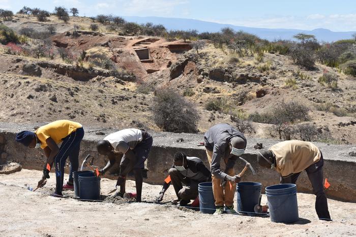 Excavations in Oldupai Gorge