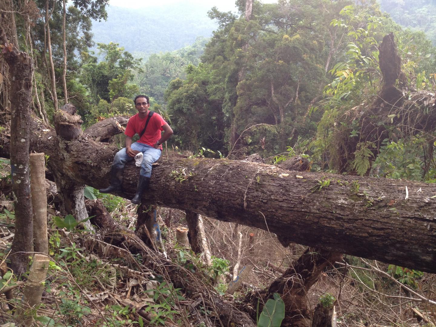 Regenerating Forests Create Important Carbon Sinks in the Philippines