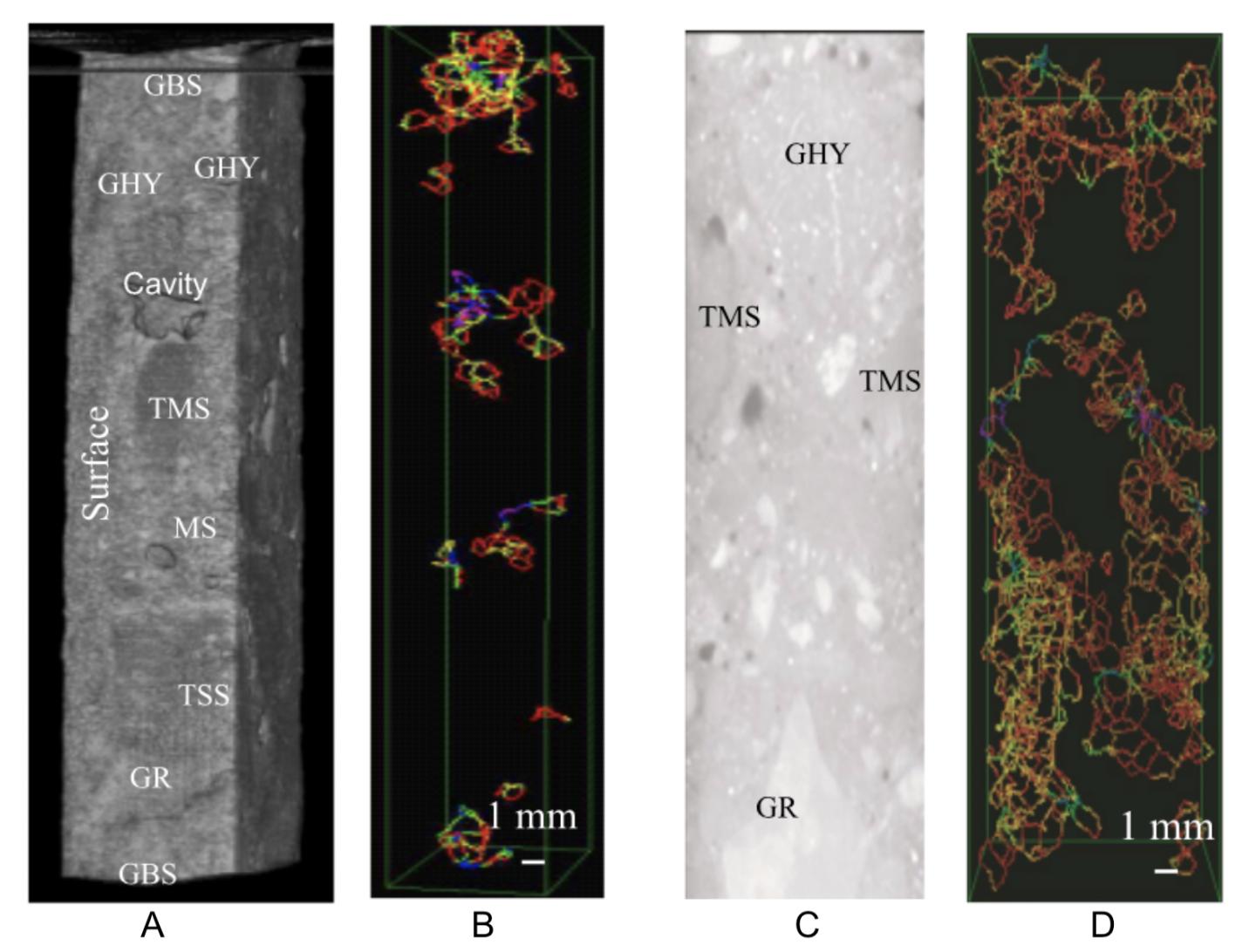 CT scans showing cracks in damaged concrete