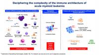 Leukemia Immune Profiles Predict Drug Resistance and Benefits of Immunotherapy (2 of 5)