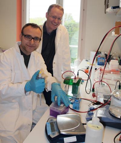 Cosimo Ducani and Björn Högberg, Karolinska Institutet
