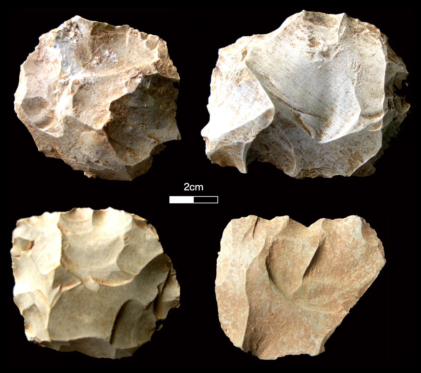 Stone Tools