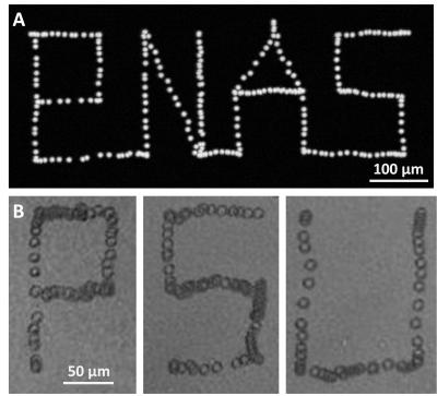 Acoustic Tweezer Schematic