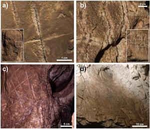 Detail of the dissolution processes in the fissures