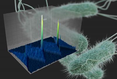 Generic <i>E. coli</i> and Bacterial Populations Isolated on a Microdevice
