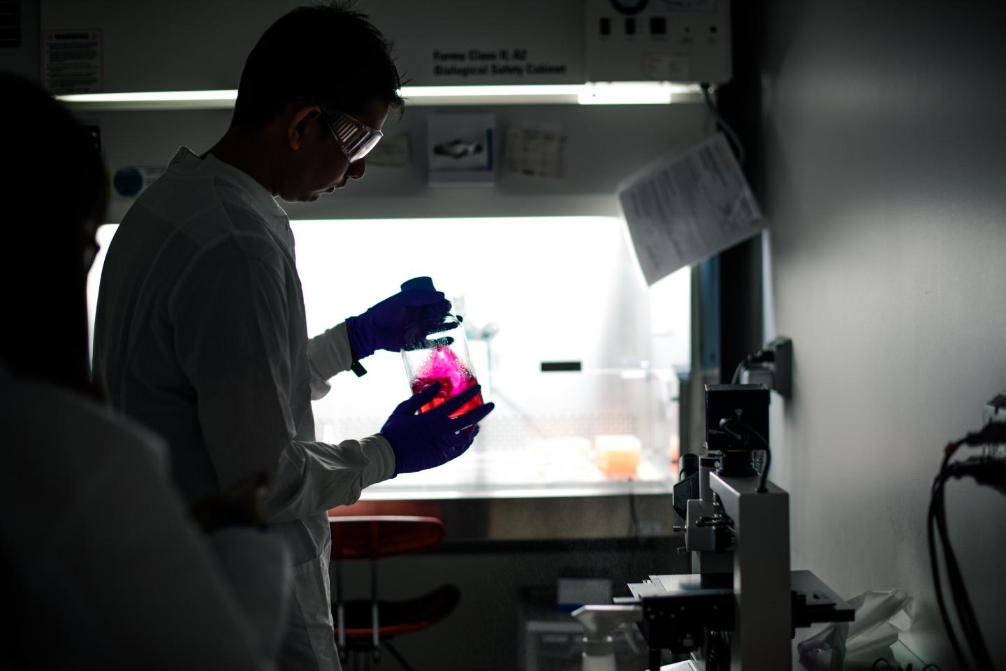 Feng Zhao's Biomed Lab