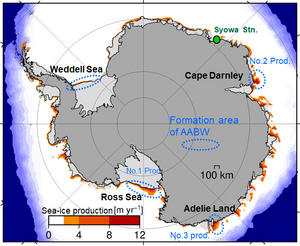 Map of annual sea ice production in the Antarctica Ocean